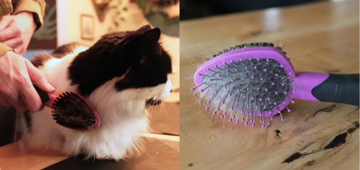 CEPILLO DE VAPOR 3 EN 1 PARA MASCOTAS